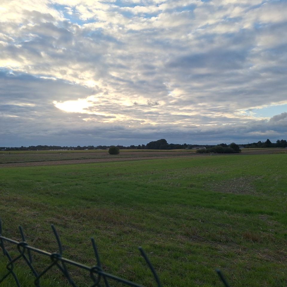 Działka rolno-budowlana Zemborzyce Tereszyńskie. Zdjęcie 4