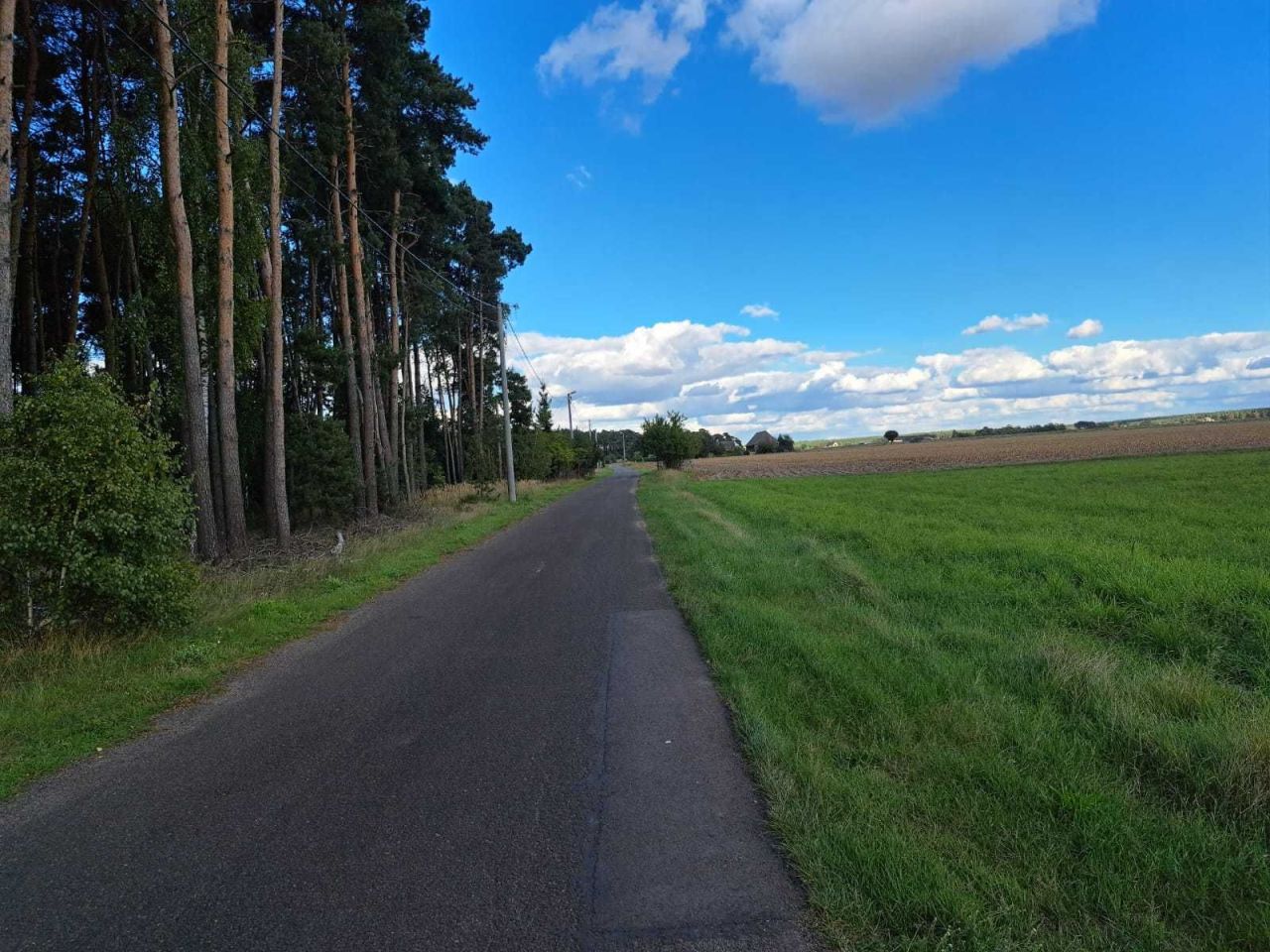 Działka budowlana Folwark. Zdjęcie 4