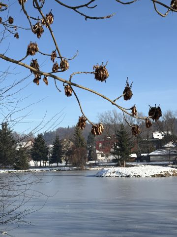 Działka budowlana Staniszów, ul. Lawendowa. Zdjęcie 6