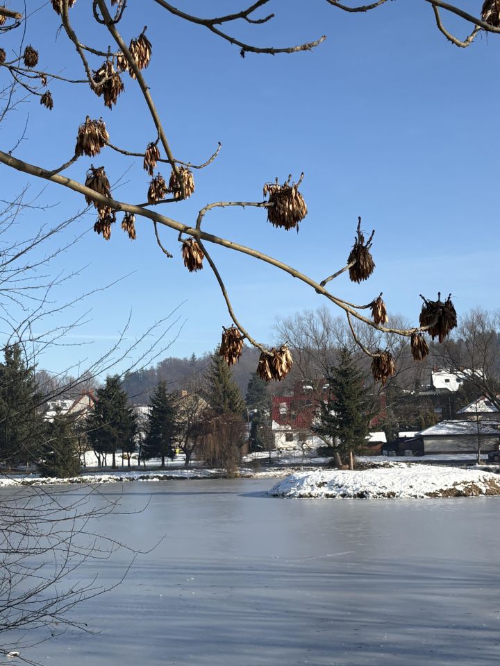 Działka budowlana Staniszów, ul. Lawendowa. Zdjęcie 6