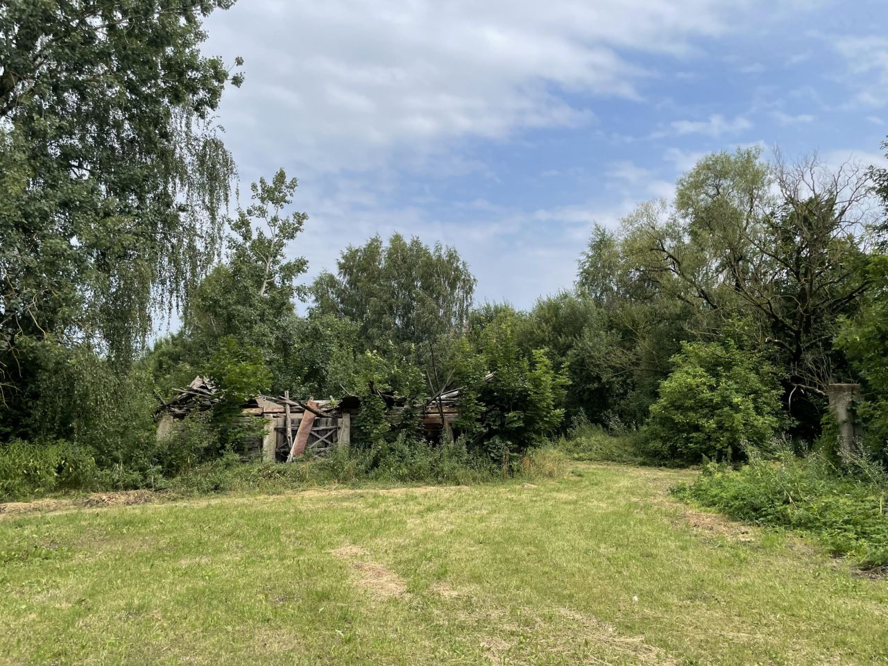 Działka rolno-budowlana Kopczany. Zdjęcie 4