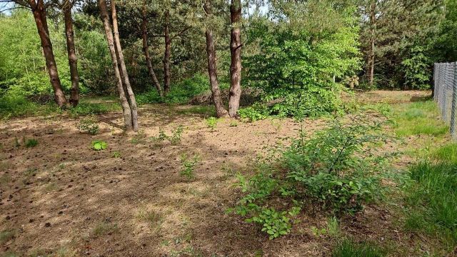 Działka budowlana Kadłubówka. Zdjęcie 1