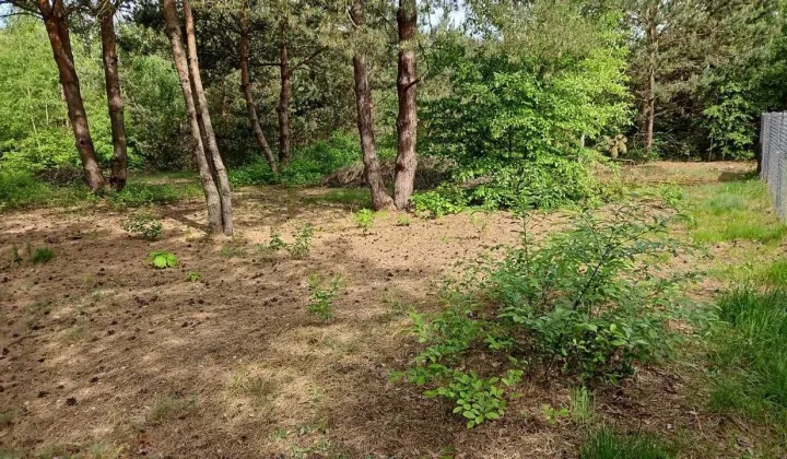 Działka budowlana Kadłubówka