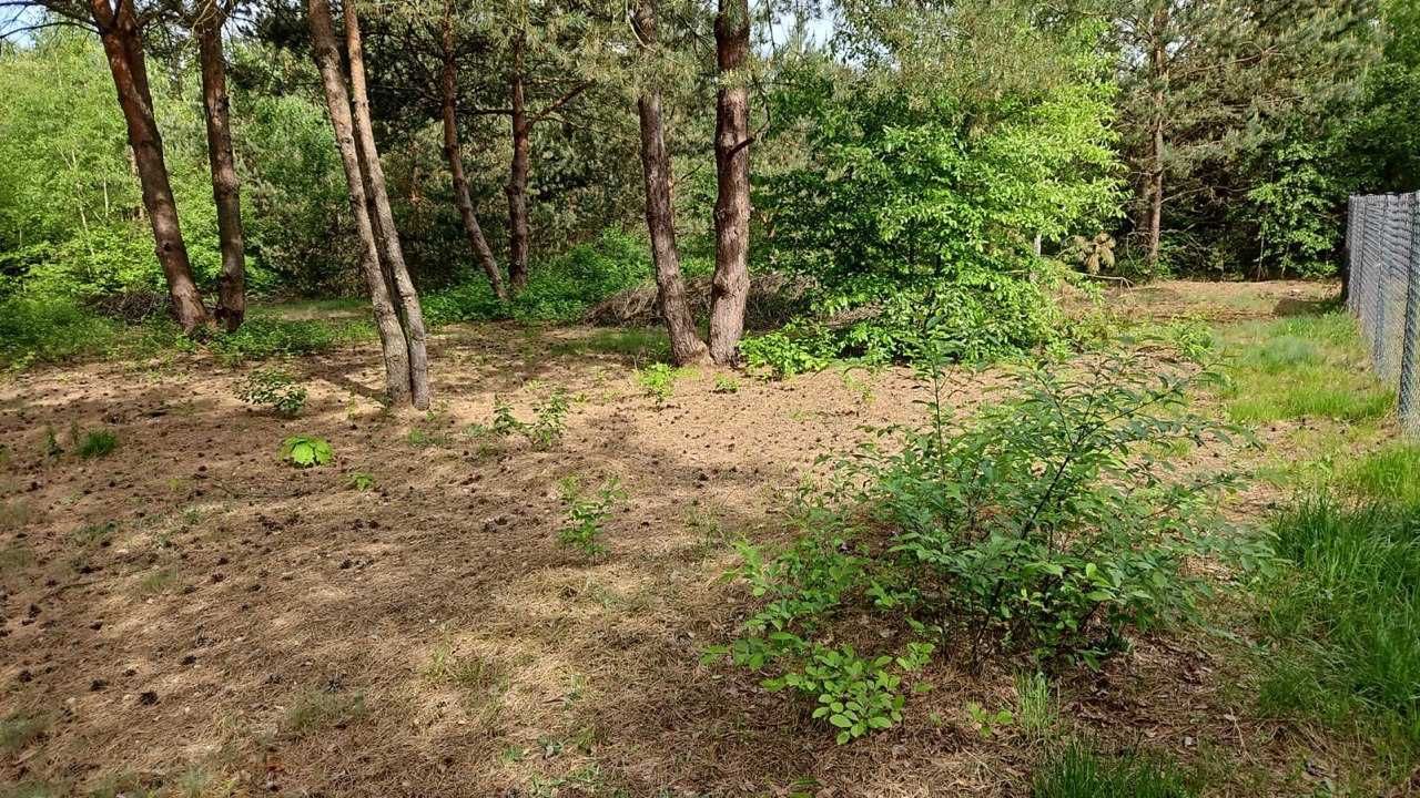 Działka budowlana Kadłubówka. Zdjęcie 1