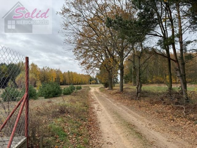 Działka rolno-budowlana Choinek. Zdjęcie 1