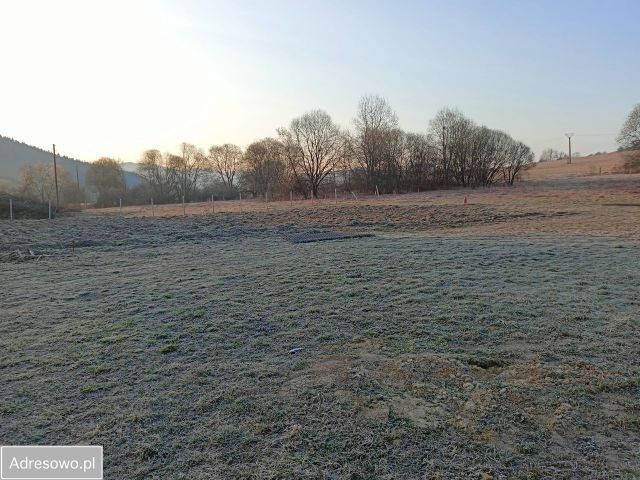 Działka budowlana Liskowate. Zdjęcie 20
