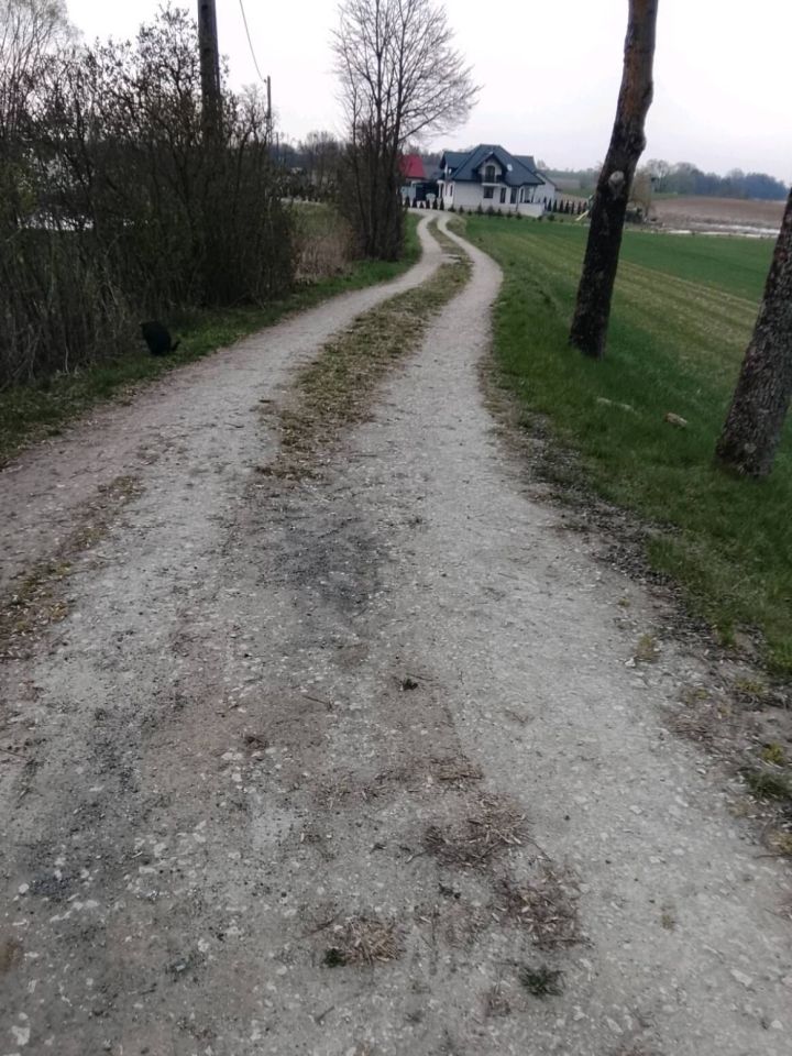 gospodarstwo Nowy Działyń. Zdjęcie 2