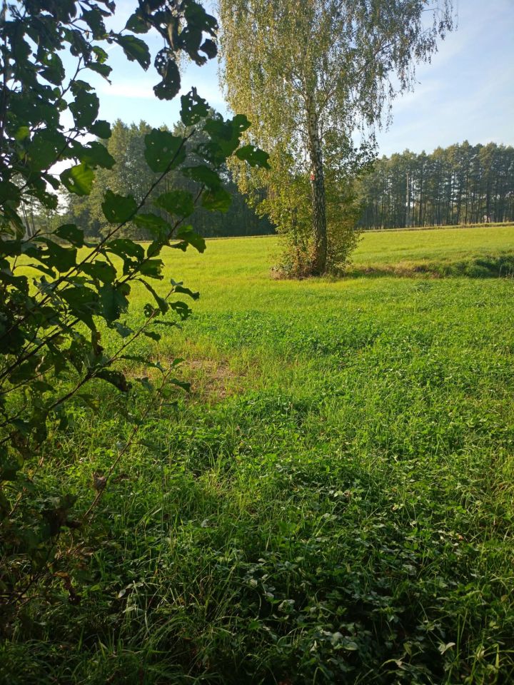 Działka budowlana Rumunki Tupadelskie. Zdjęcie 5