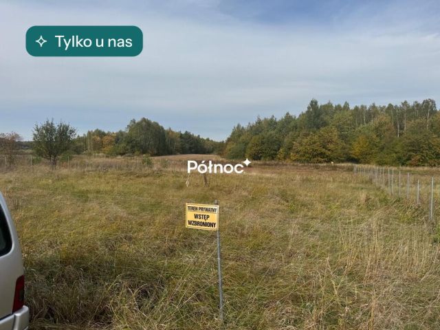 Działka rekreacyjna Skronina. Zdjęcie 1
