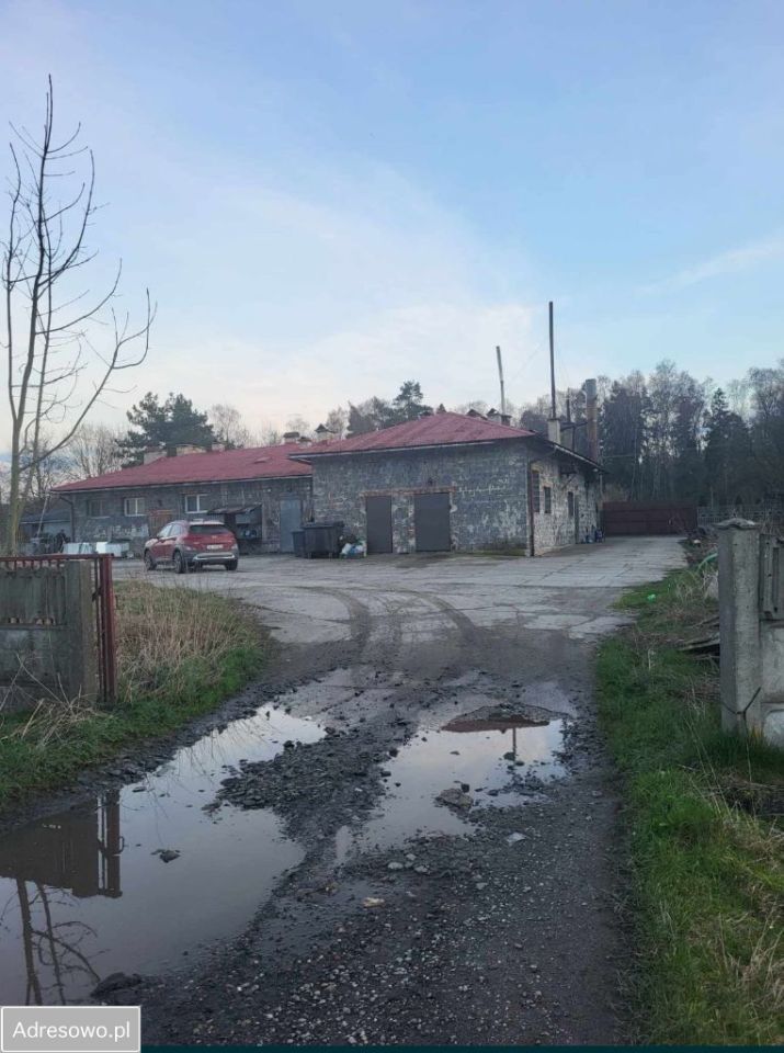 Lokal Zaborze, ul. Ochabska. Zdjęcie 4