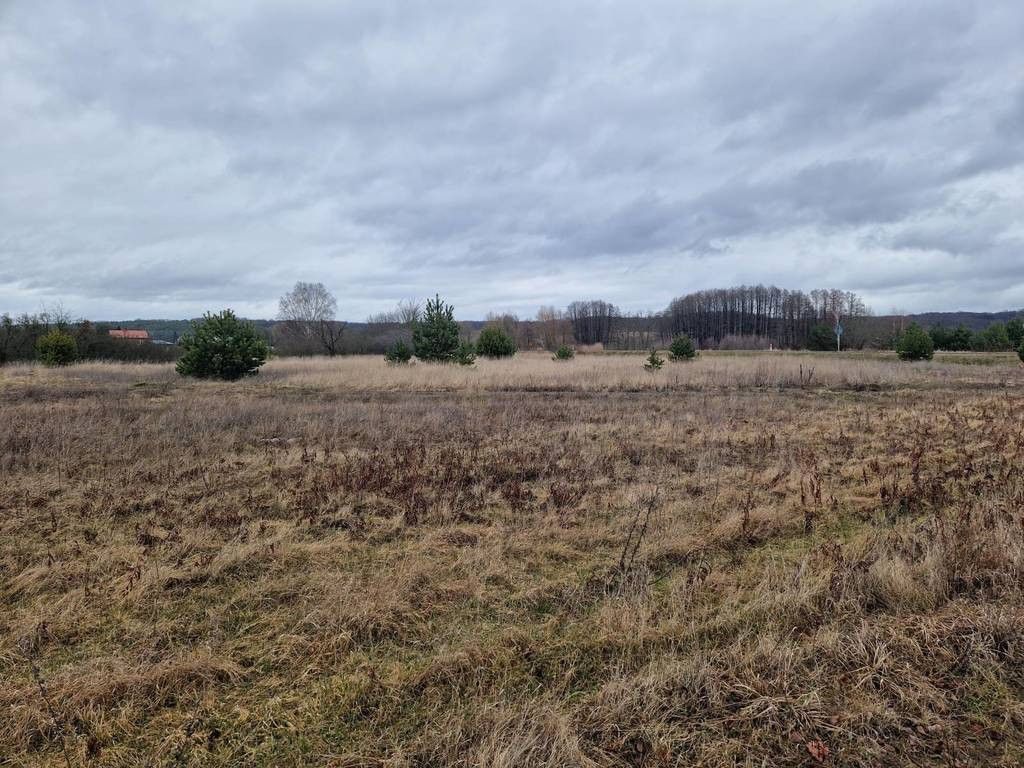 Działka budowlana Ognica. Zdjęcie 8