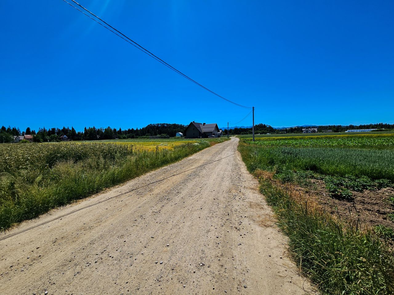 Działka budowlana Nowa Biała. Zdjęcie 4