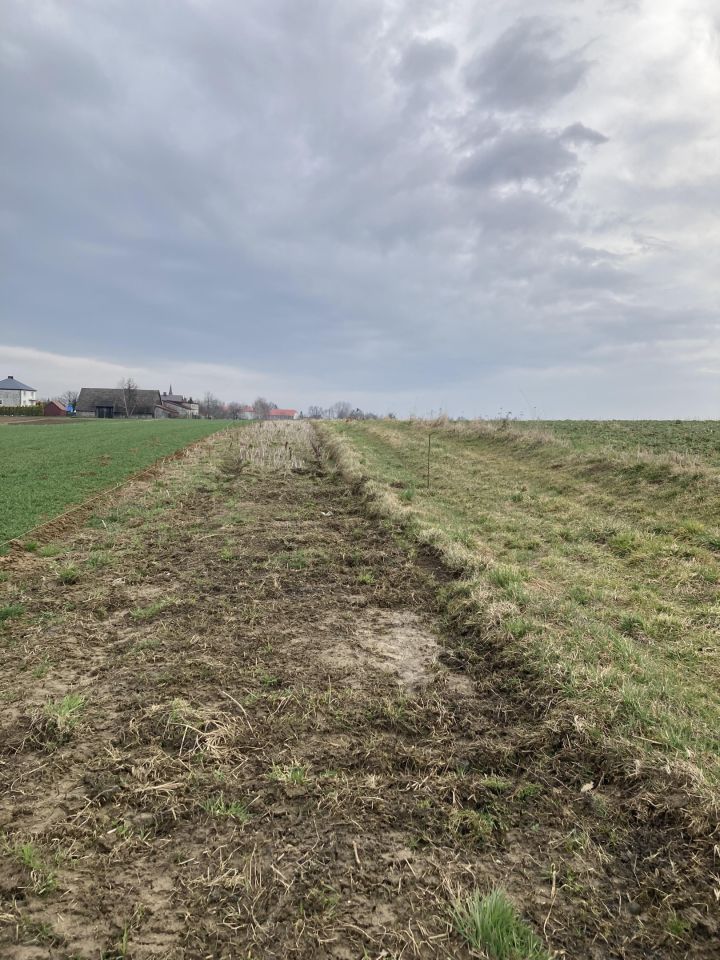 Działka budowlana Gierałtowice Szpitalna, ul. św. Marcina. Zdjęcie 8