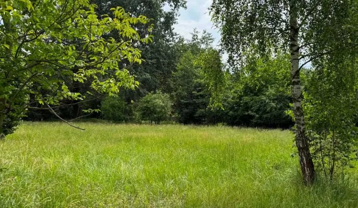 Działka rekreacyjna Cupel