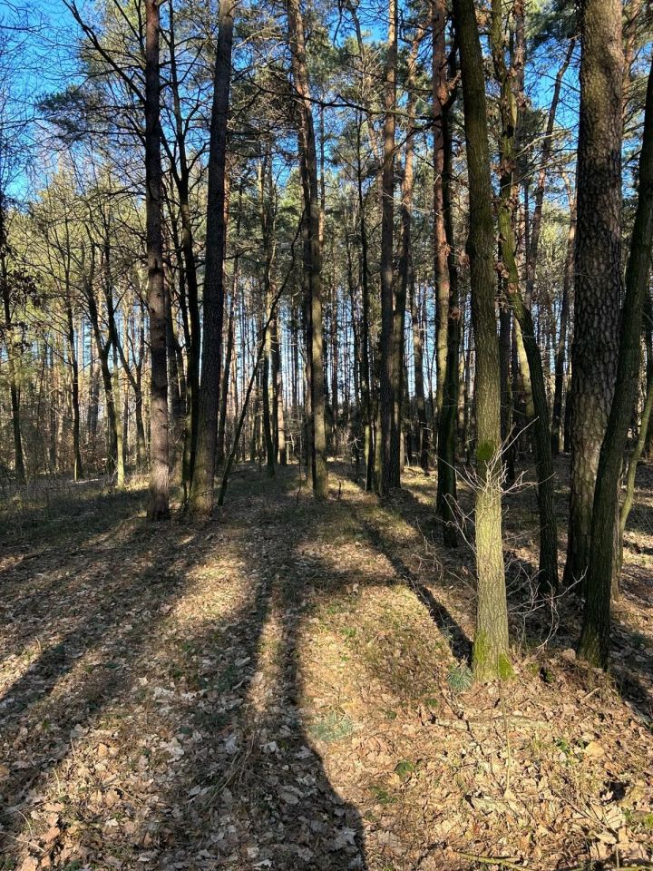 Działka rolna Dąbrówka. Zdjęcie 3