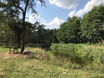 Działka budowlana Niemieczkowo. Zdjęcie 3