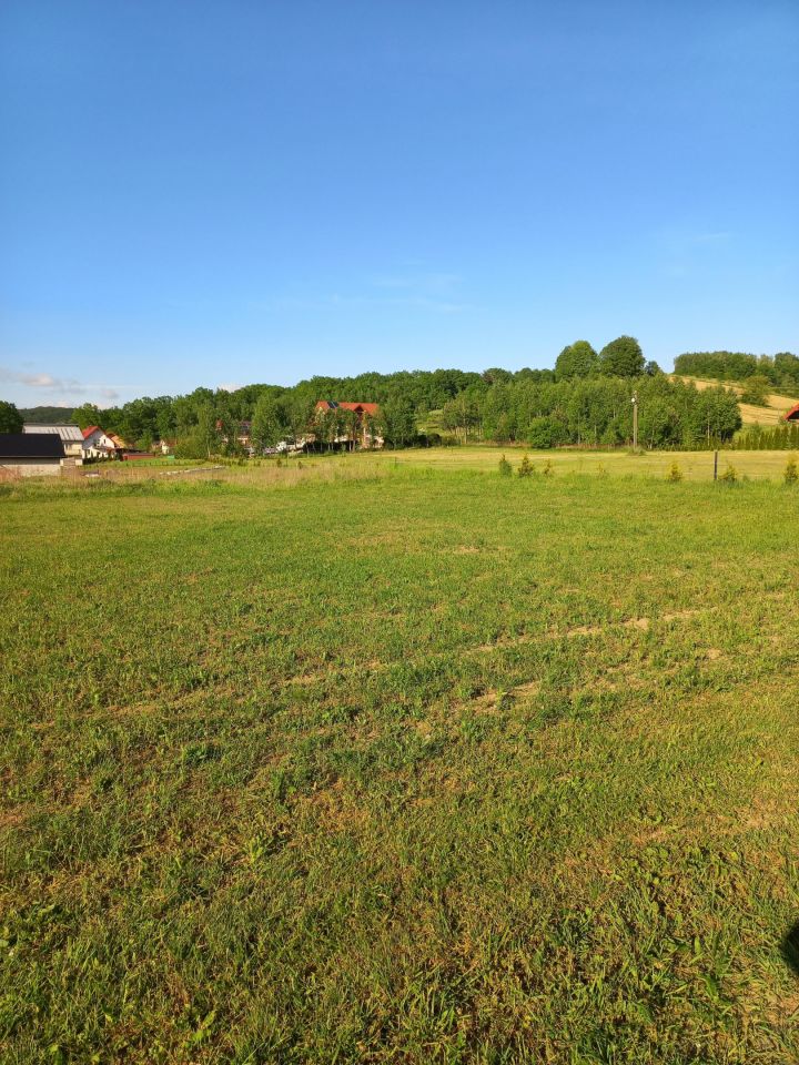 Działka budowlana Gogołów. Zdjęcie 8