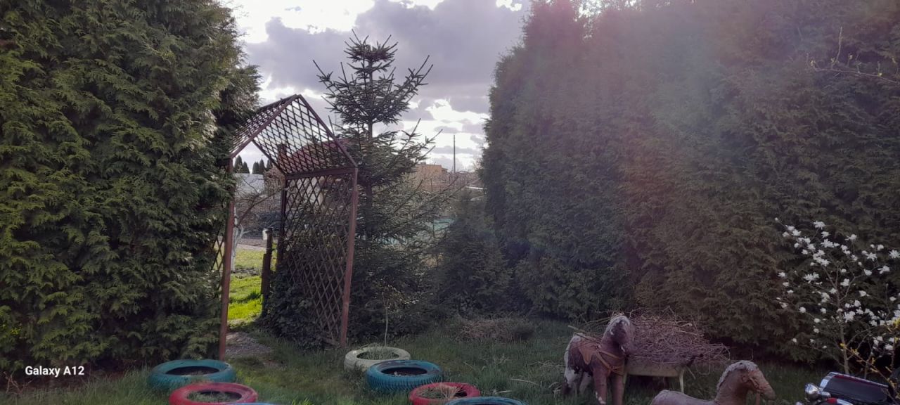 Działka rod Szczecin Klucz, ul. Polarna. Zdjęcie 3