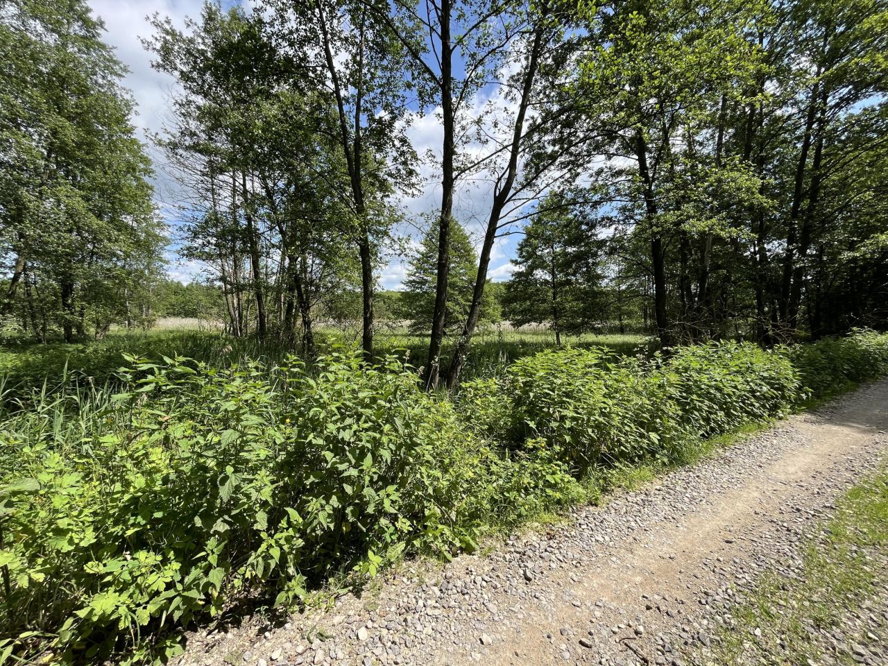 Działka rolna Siennica Nadolna. Zdjęcie 13
