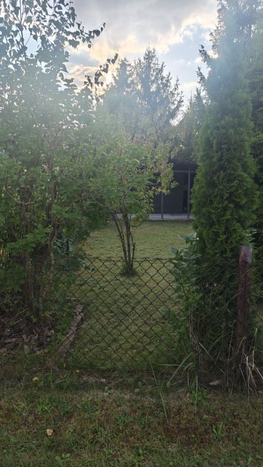 Działka rod Sosnowiec. Zdjęcie 3