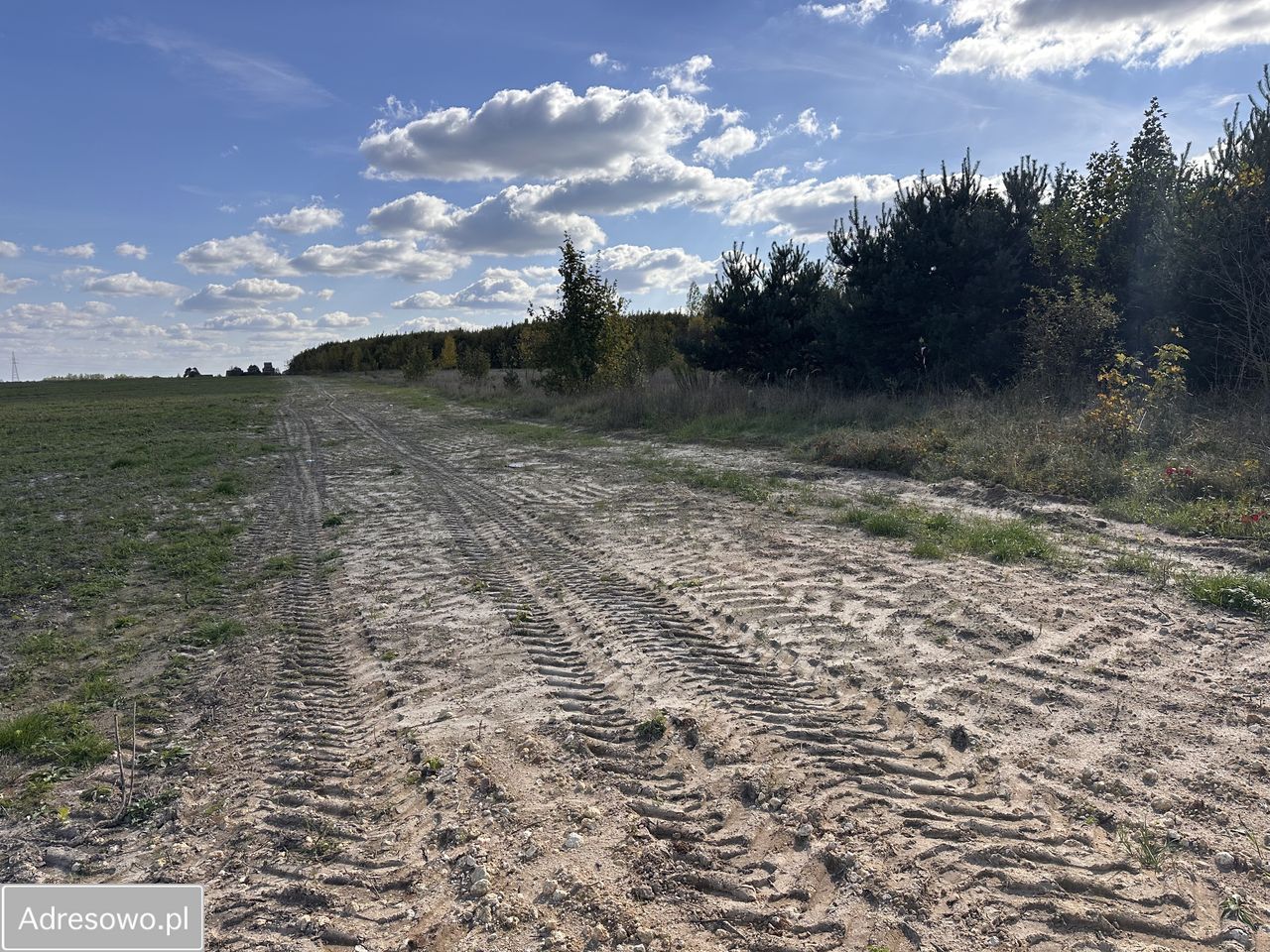 Działka budowlana Celiny. Zdjęcie 4