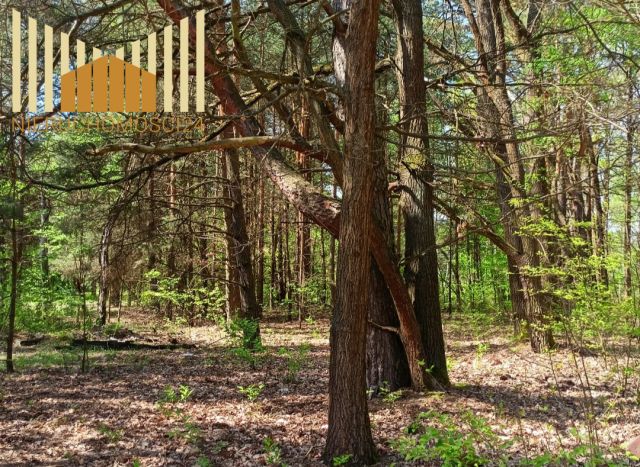 Działka budowlana Ostrów. Zdjęcie 2