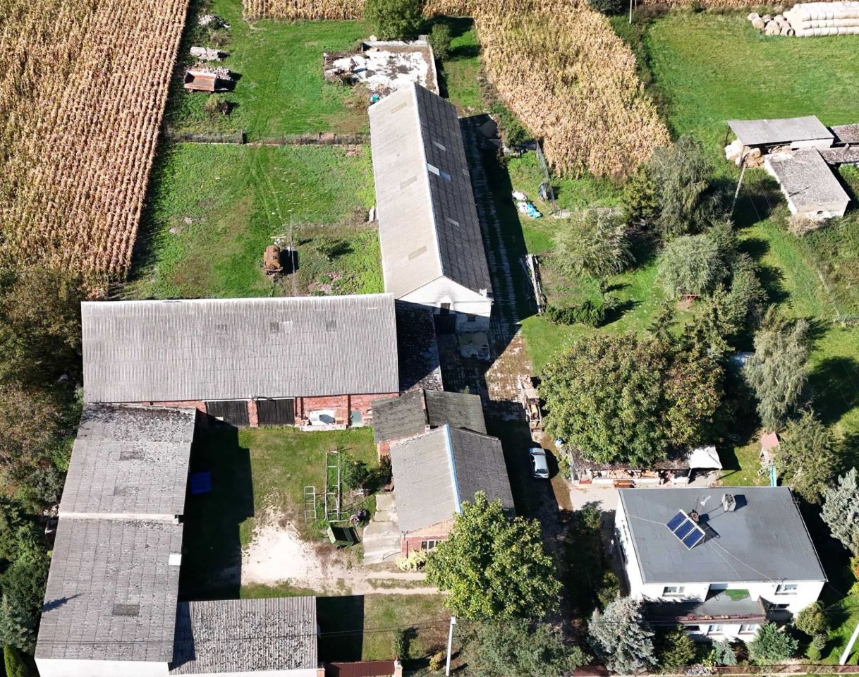 gospodarstwo Łopienno. Zdjęcie 5