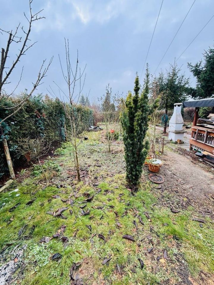 Działka rod Czeladź Kolonia Małobądz, ul. Szpitalna. Zdjęcie 7