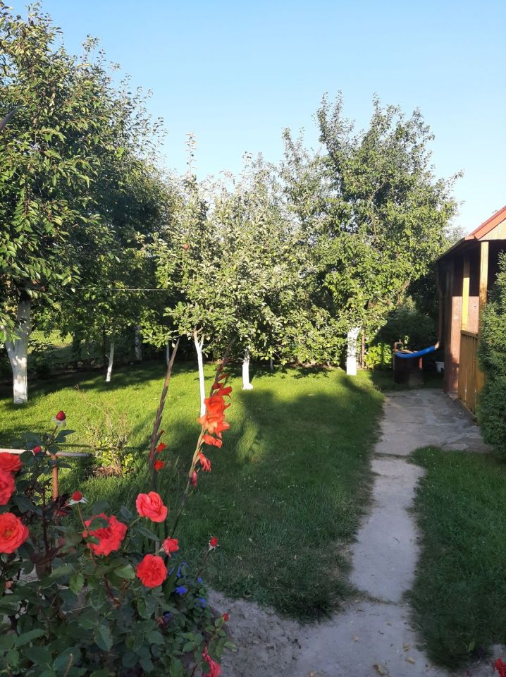 Działka rod Lublin. Zdjęcie 3