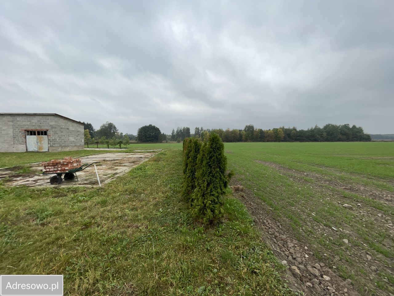 Działka siedliskowa Lesznowola. Zdjęcie 10