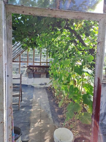 Działka rod Jagodowo osada leśna. Zdjęcie 16