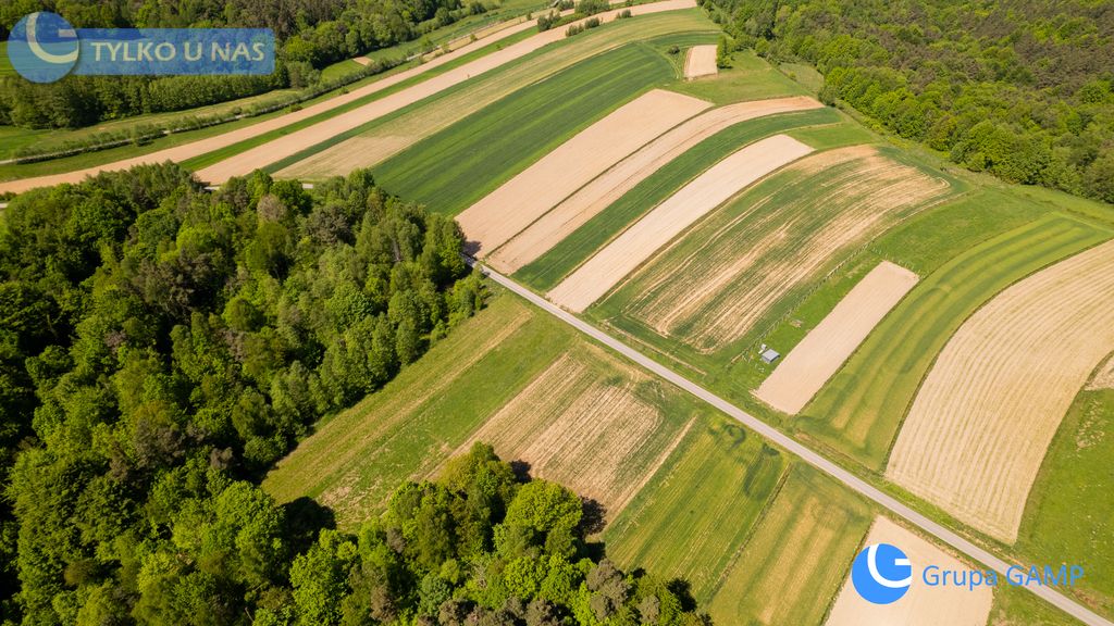 Działka Lipnica Dolna. Zdjęcie 4