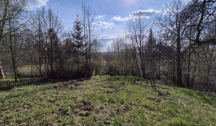 Działka rolno-budowlana Grabówki