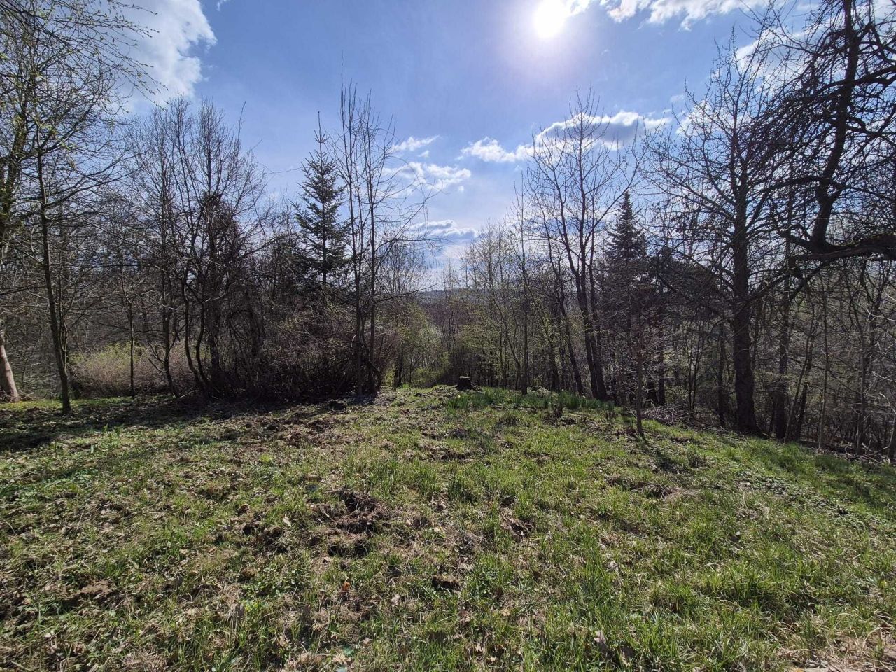 Działka rolno-budowlana Grabówki