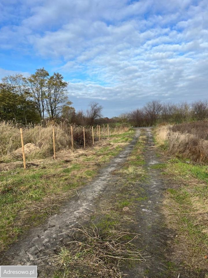 Działka rolno-budowlana Podkampinos. Zdjęcie 10
