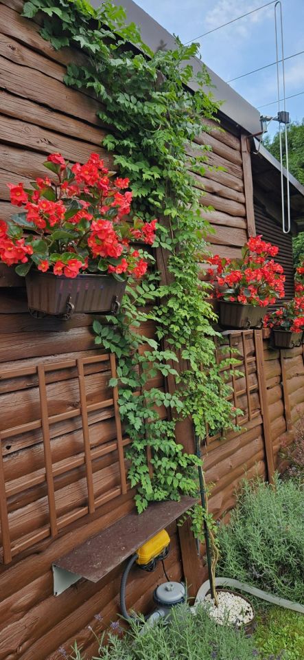 Działka rod Sosnowiec Niwka, ul. Portowa. Zdjęcie 20