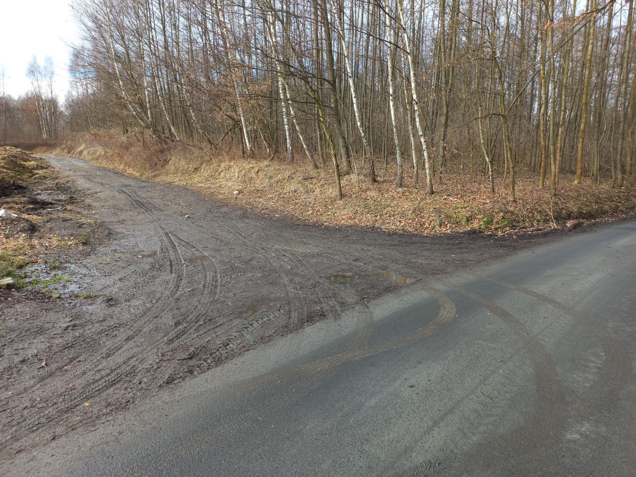 Działka rolna Brzezinka, Słoneczna. Zdjęcie 1