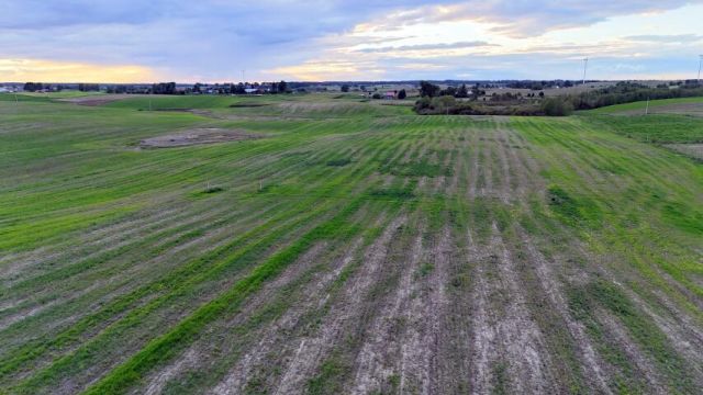 Działka siedliskowa Laseczno. Zdjęcie 9