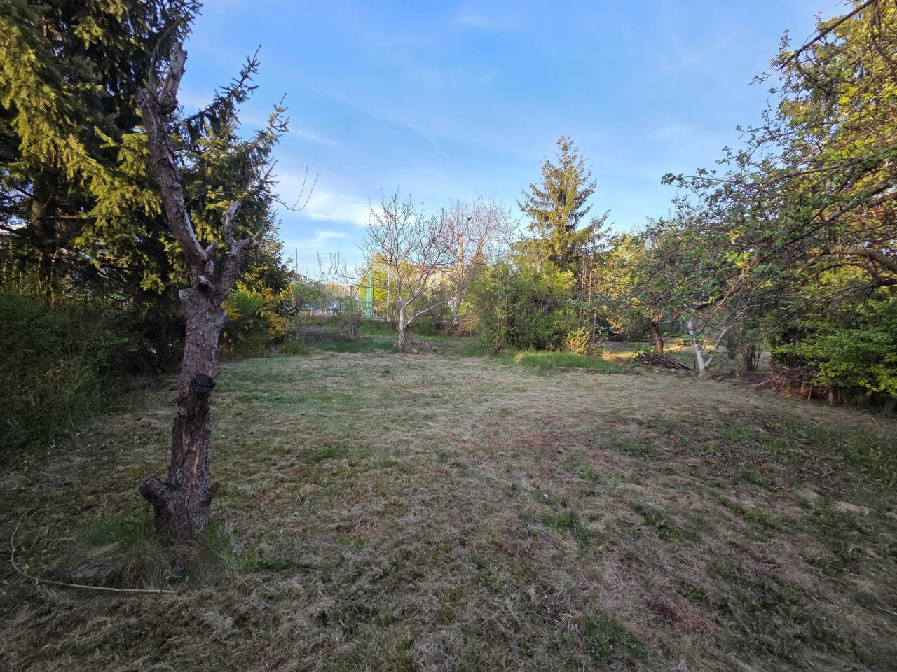 Działka rod Wrocław Księże Małe, ul. Raciborska. Zdjęcie 3