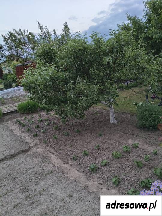 Działka rod Krotoszyn, ul. Raszkowska. Zdjęcie 7