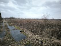 Działka inwestycyjna Baniocha, ul. Lipowa. Zdjęcie 2