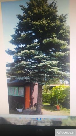 Działka rod Rzeszów Zalesie. Zdjęcie 1