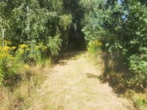 Działka Janowica. Zdjęcie 2