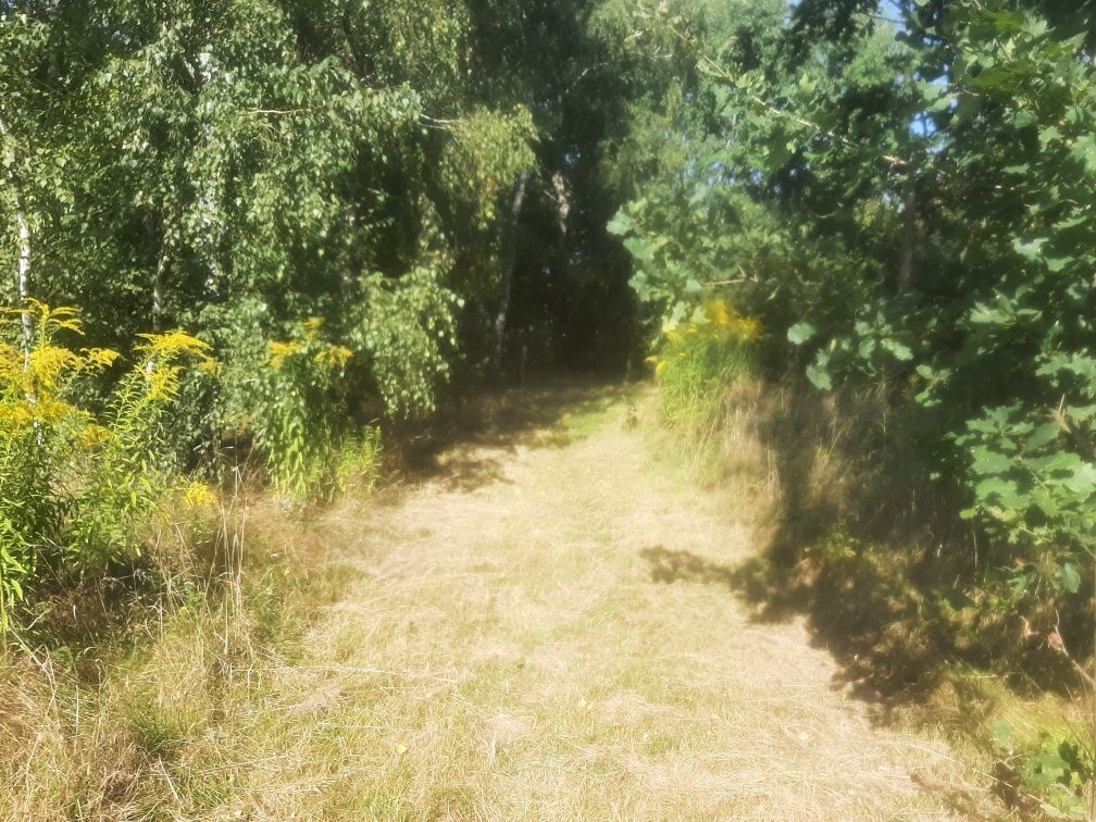 Działka Janowica. Zdjęcie 3