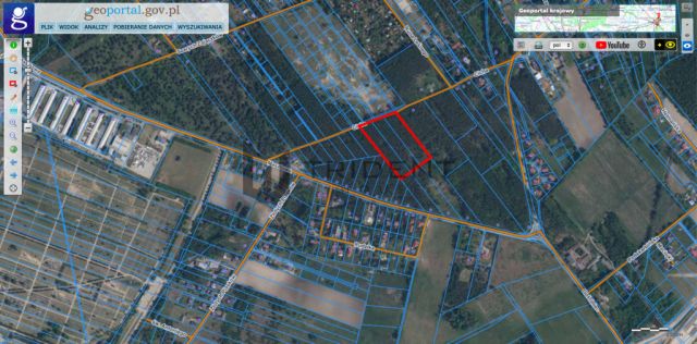 Działka leśna Kuleszówka. Zdjęcie 1