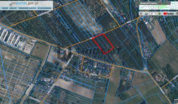 Działka leśna Kuleszówka