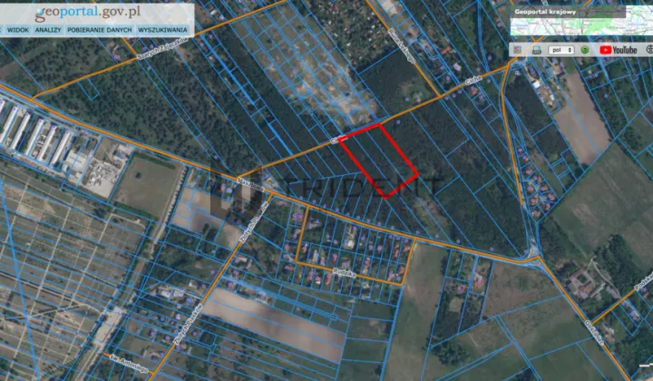 Działka leśna Kuleszówka