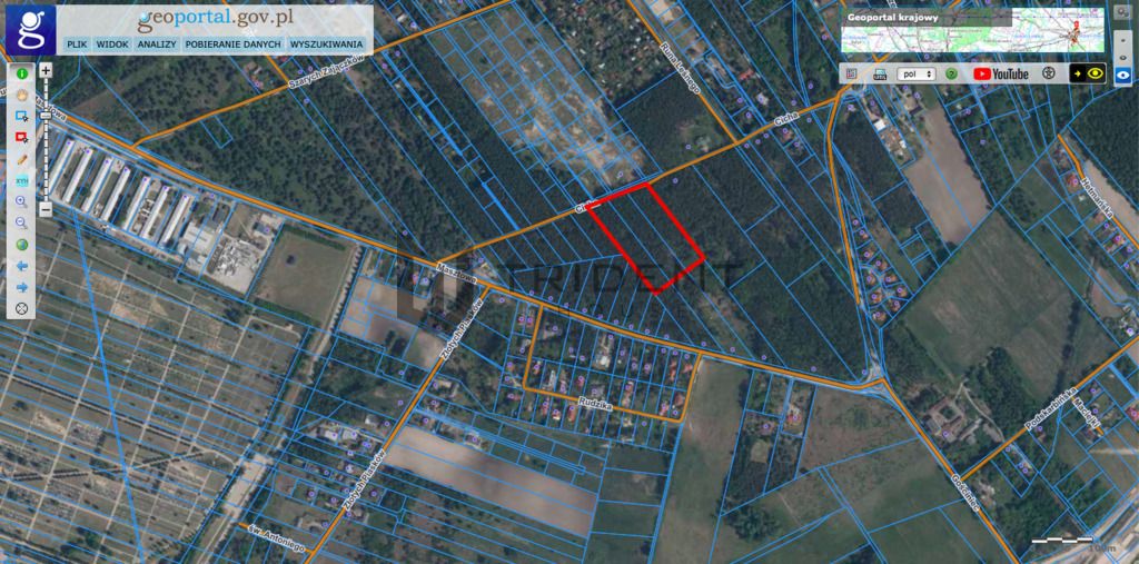 Działka leśna Kuleszówka