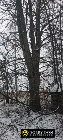 dom wolnostojący, 1 pokój Ostrów Północny. Zdjęcie 4