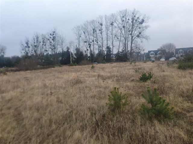 Działka budowlana Bojano, ul. Miedziana. Zdjęcie 5